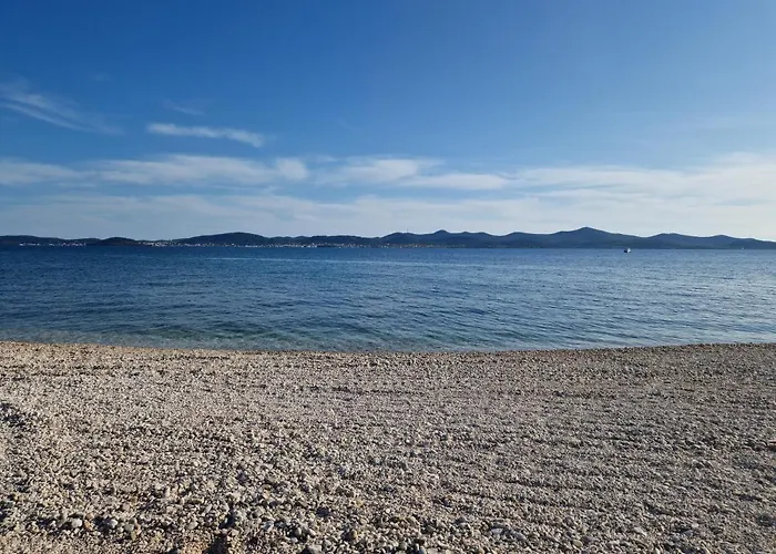 Tea Luxury Apartment