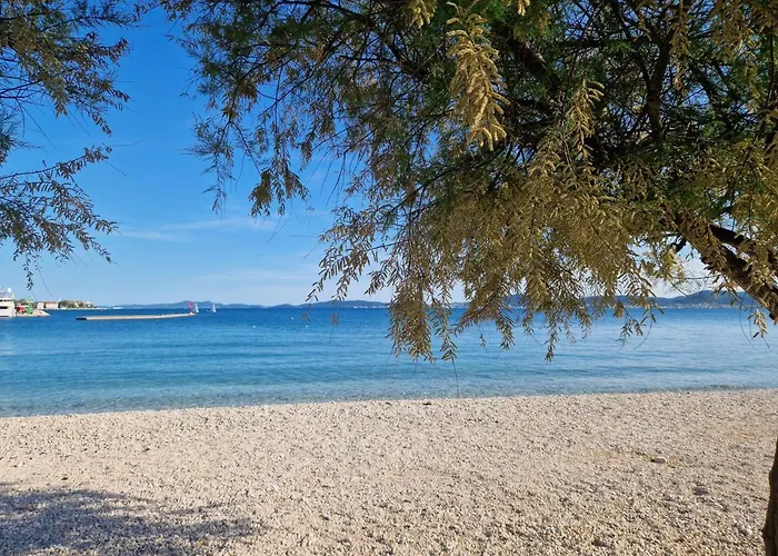 Tea Luxury Apartment