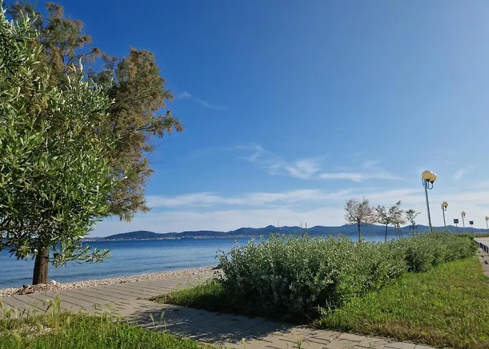 Apartment Tea Luxury *