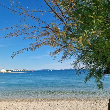 Tea Luxury * Zadar