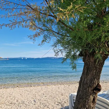 Tea Luxury * Zadar