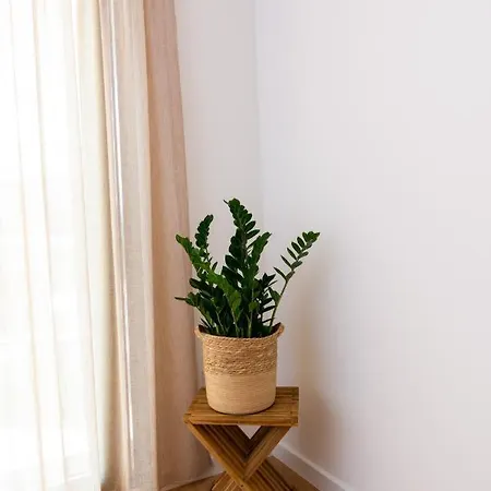 Apartment Tea Luxury *