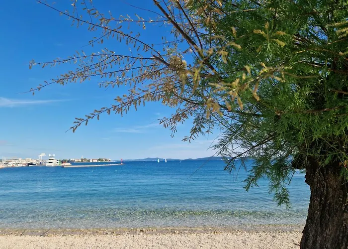 Tea Luxury * Zadar