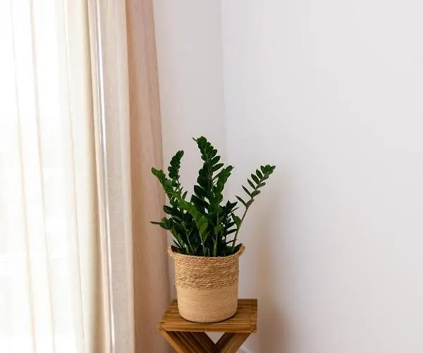 Apartamento Tea Luxury *